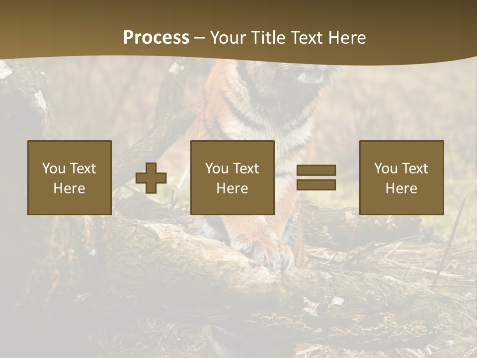 Siberian Tiger PowerPoint Template