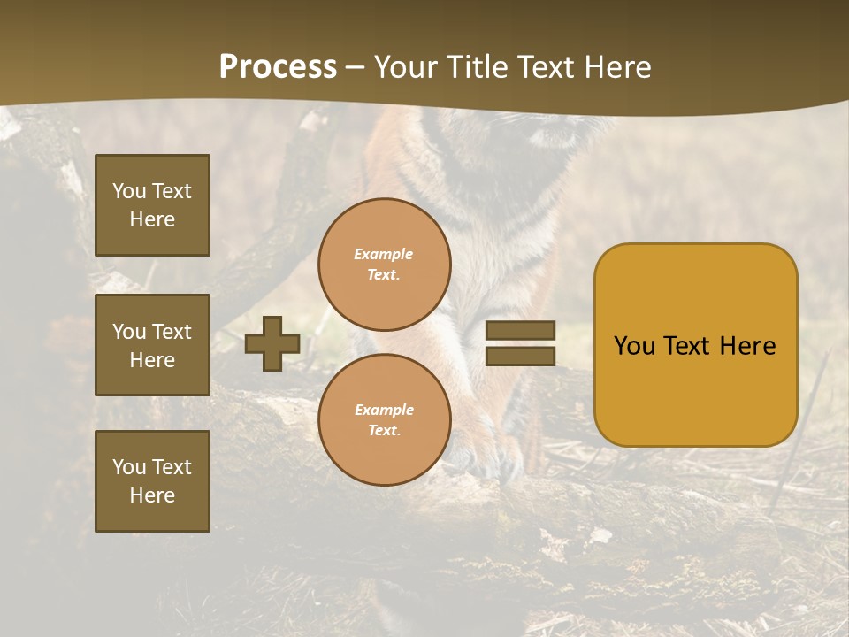 Siberian Tiger PowerPoint Template