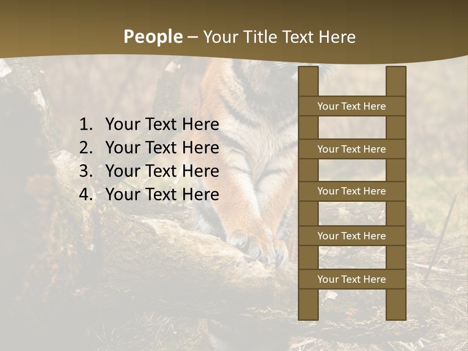 Siberian Tiger PowerPoint Template