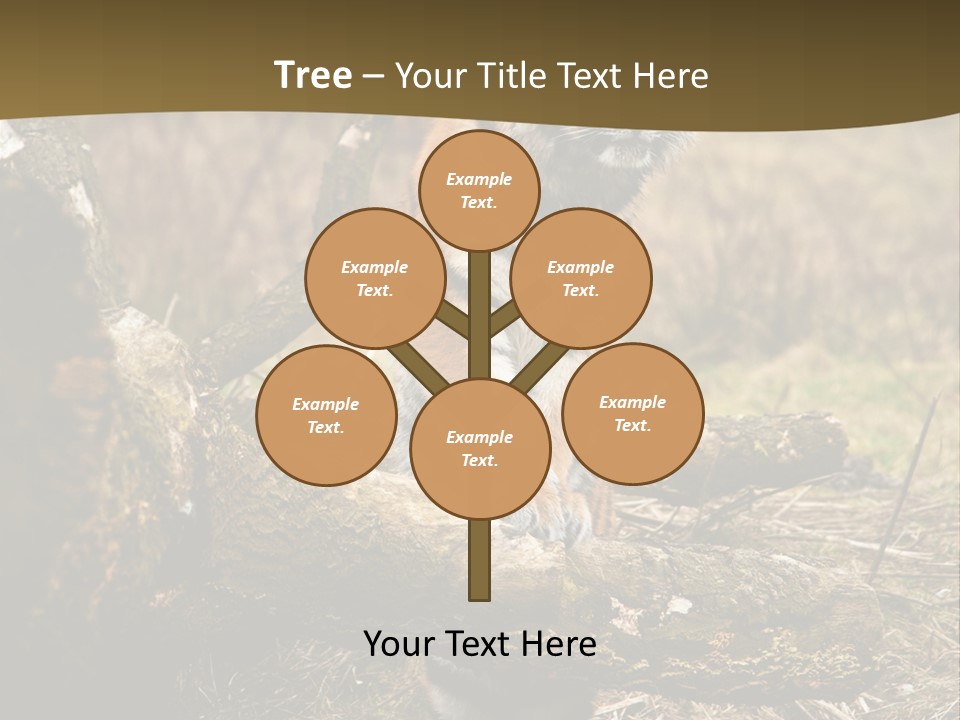 Siberian Tiger PowerPoint Template