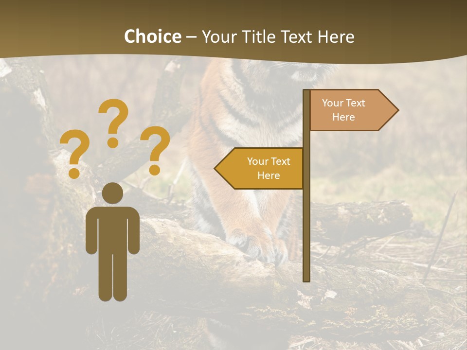 Siberian Tiger PowerPoint Template