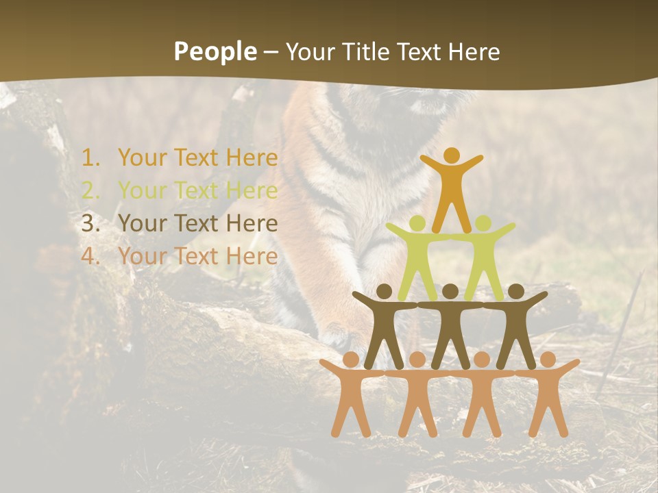 Siberian Tiger PowerPoint Template