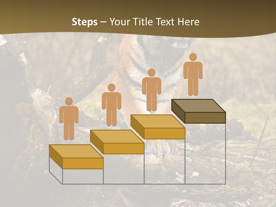 Siberian Tiger PowerPoint Template