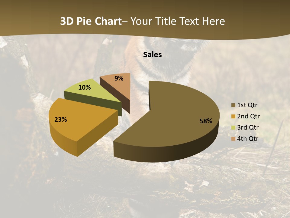 Siberian Tiger PowerPoint Template