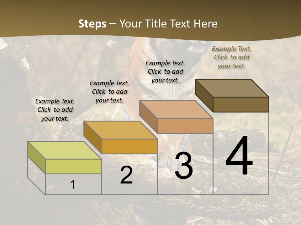 Siberian Tiger PowerPoint Template