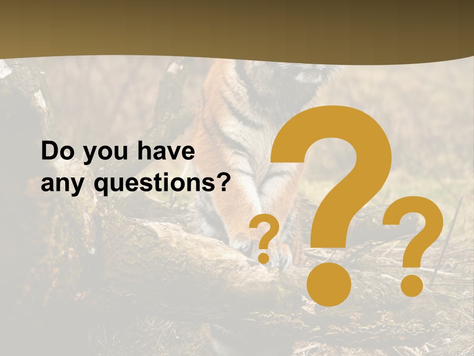 Siberian Tiger PowerPoint Template