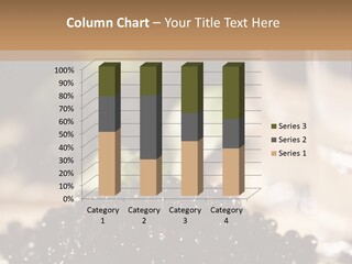 Sandwich Food Elegance PowerPoint Template