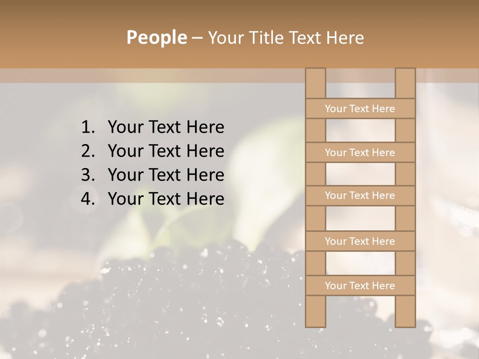 Sandwich Food Elegance PowerPoint Template