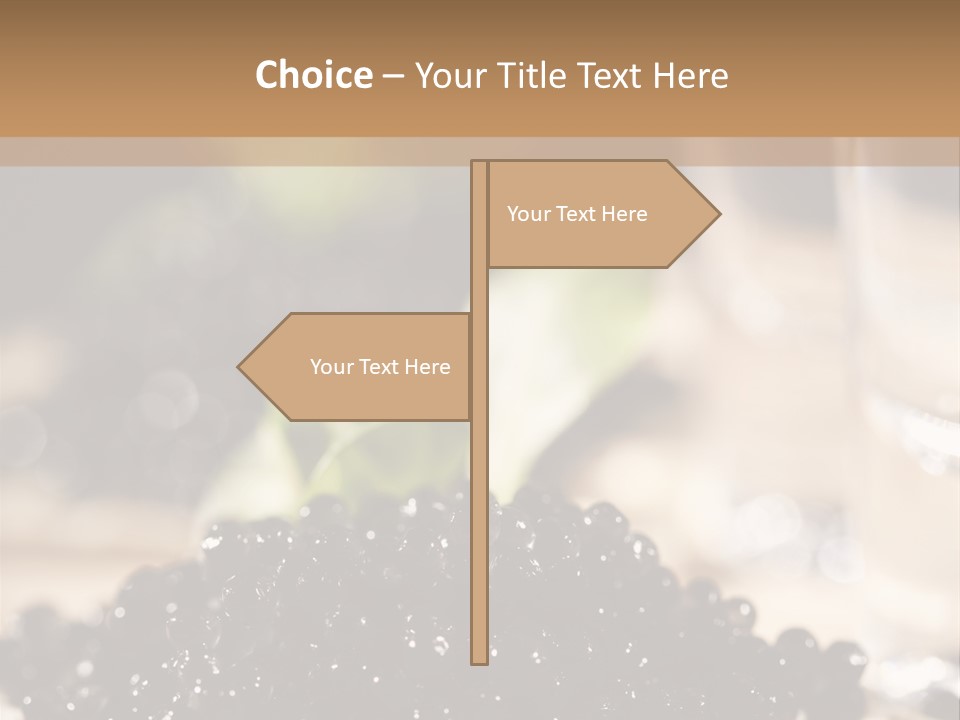 Sandwich Food Elegance PowerPoint Template
