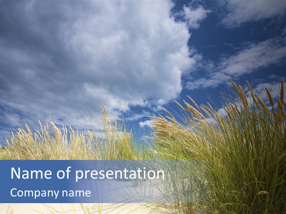 Beach Grass PowerPoint Template