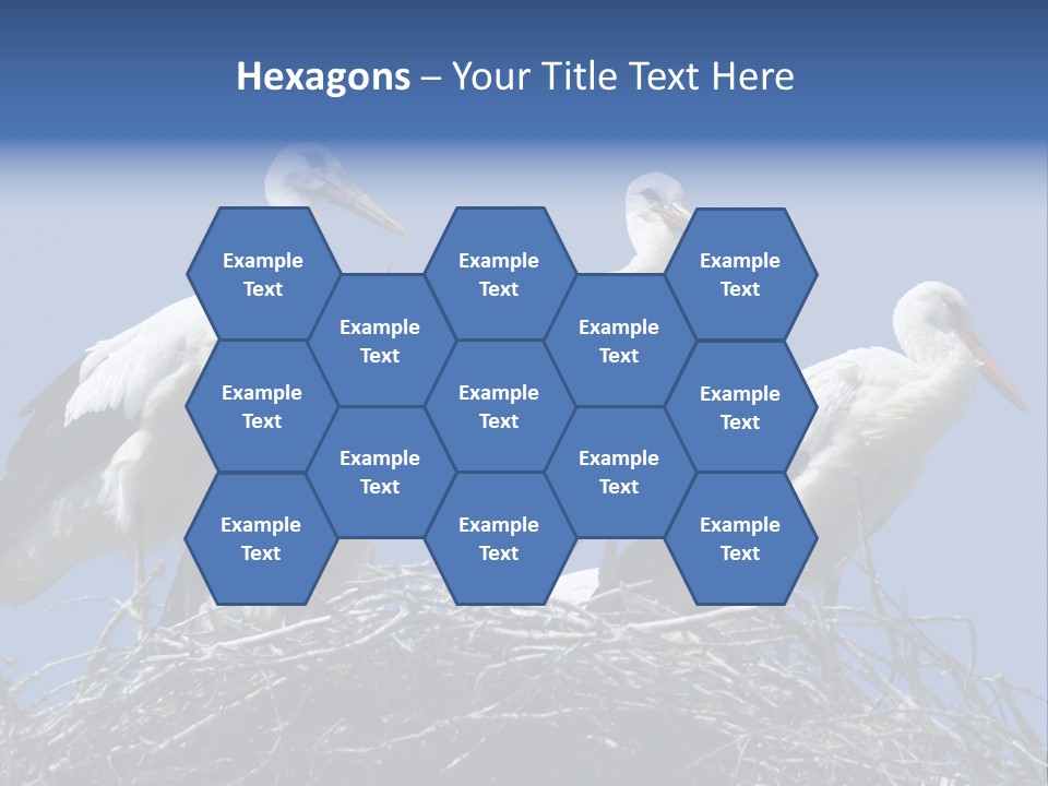 Migrate Pure Black PowerPoint Template