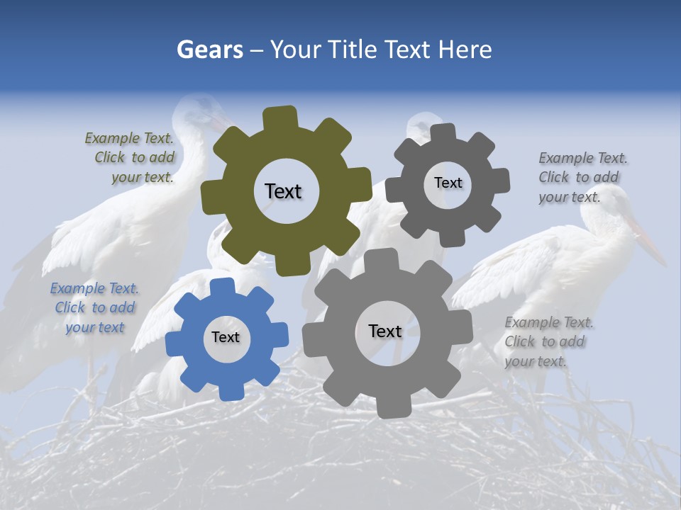 Migrate Pure Black PowerPoint Template