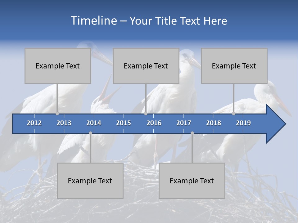 Migrate Pure Black PowerPoint Template