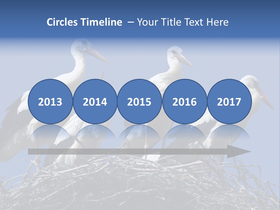 Migrate Pure Black PowerPoint Template
