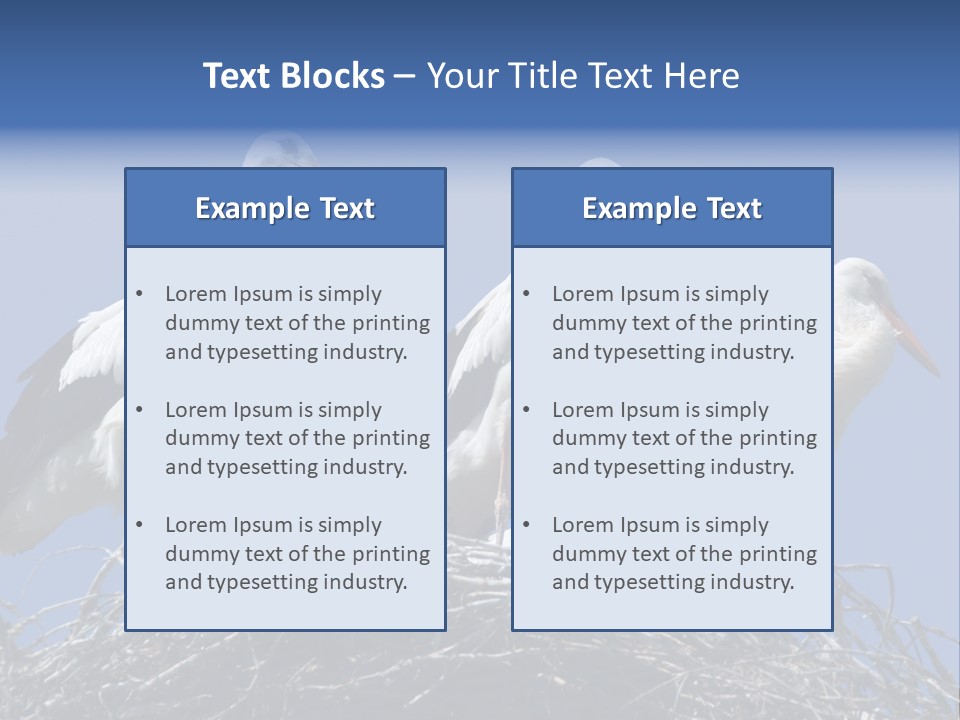 Migrate Pure Black PowerPoint Template