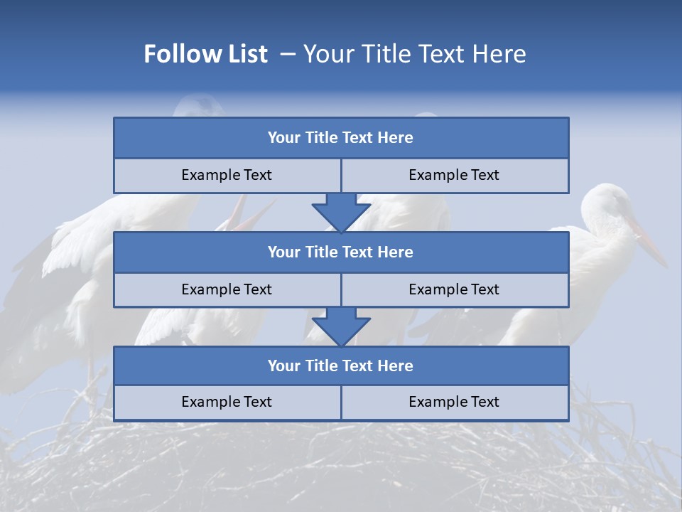 Migrate Pure Black PowerPoint Template