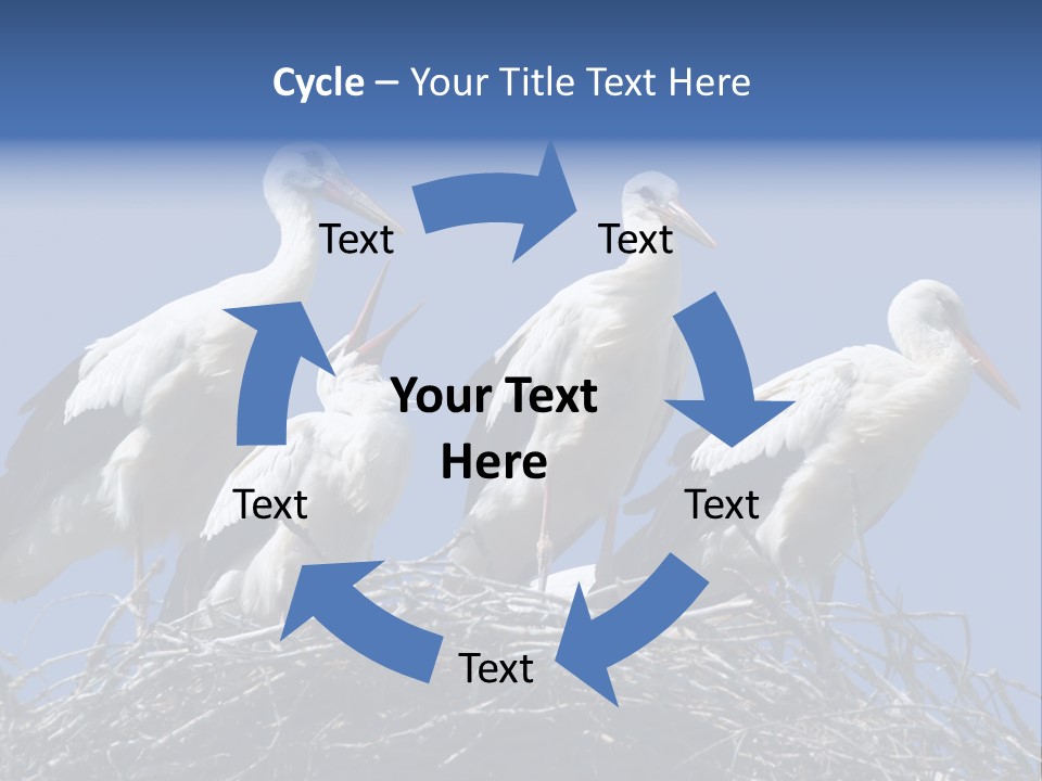 Migrate Pure Black PowerPoint Template