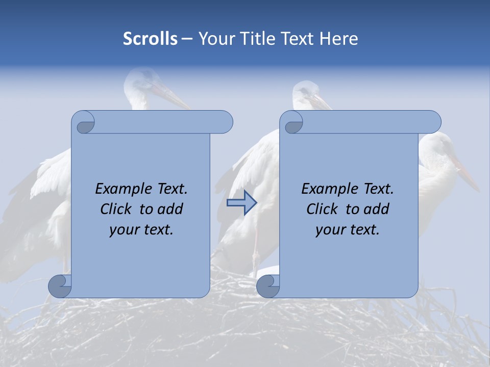 Migrate Pure Black PowerPoint Template