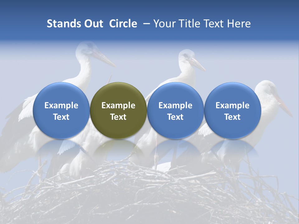 Migrate Pure Black PowerPoint Template