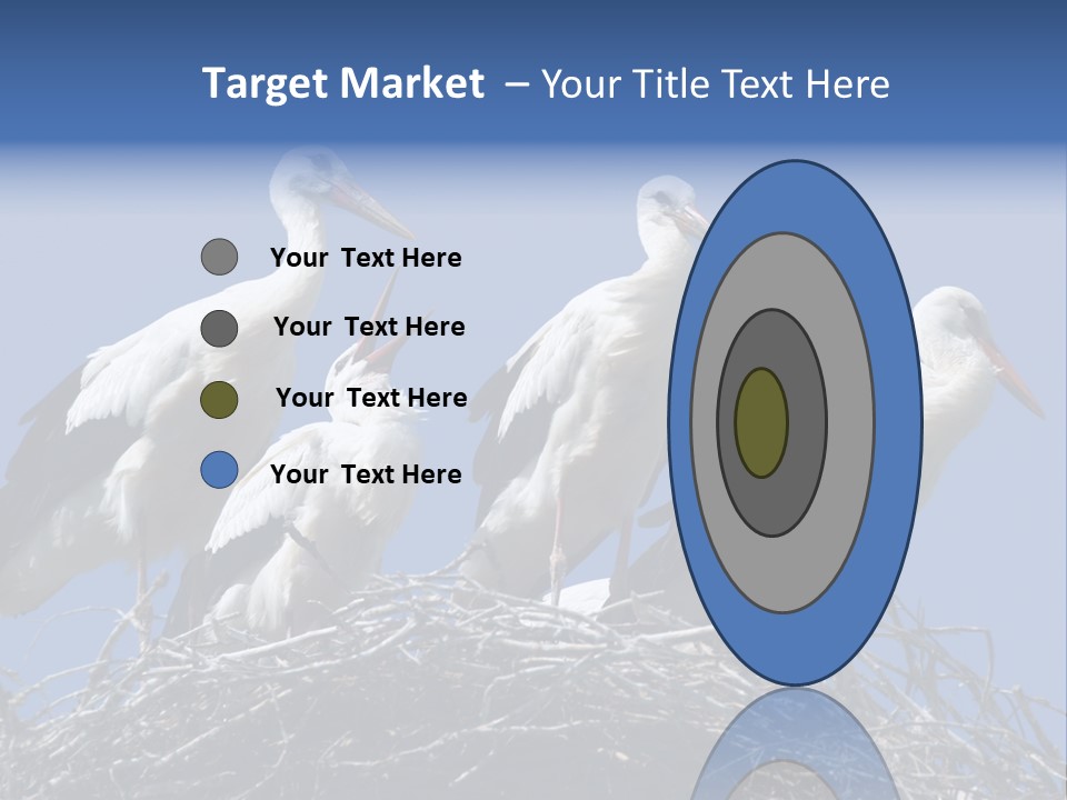 Migrate Pure Black PowerPoint Template