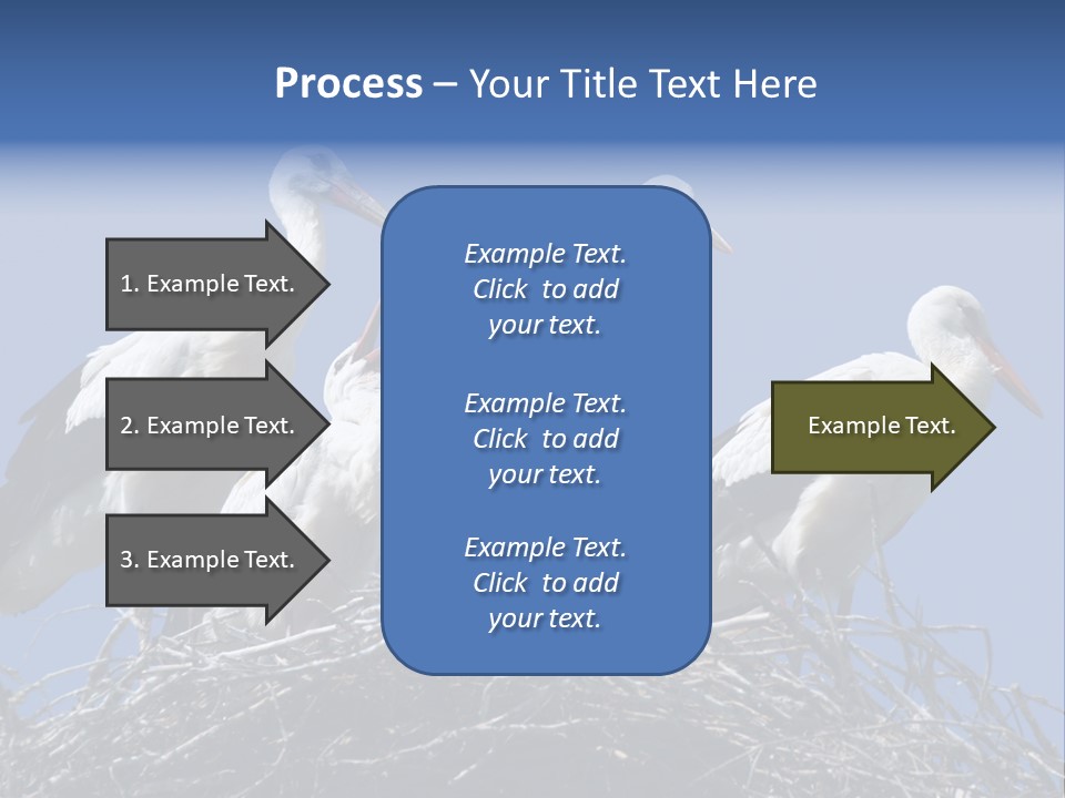 Migrate Pure Black PowerPoint Template
