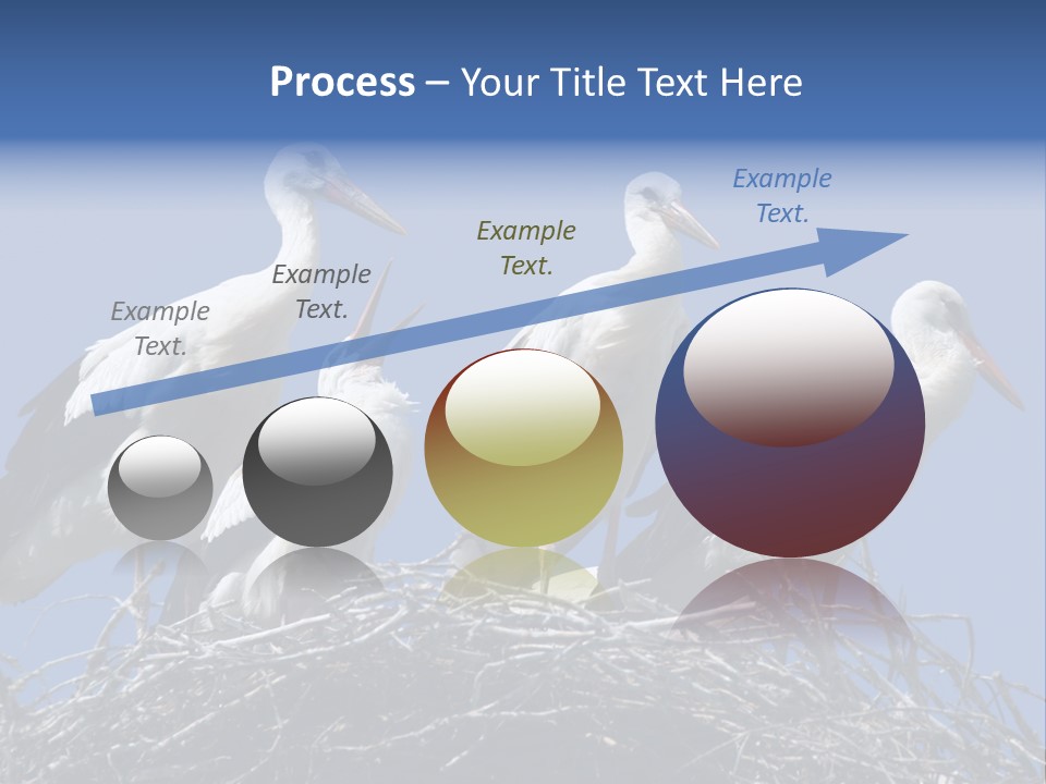 Migrate Pure Black PowerPoint Template
