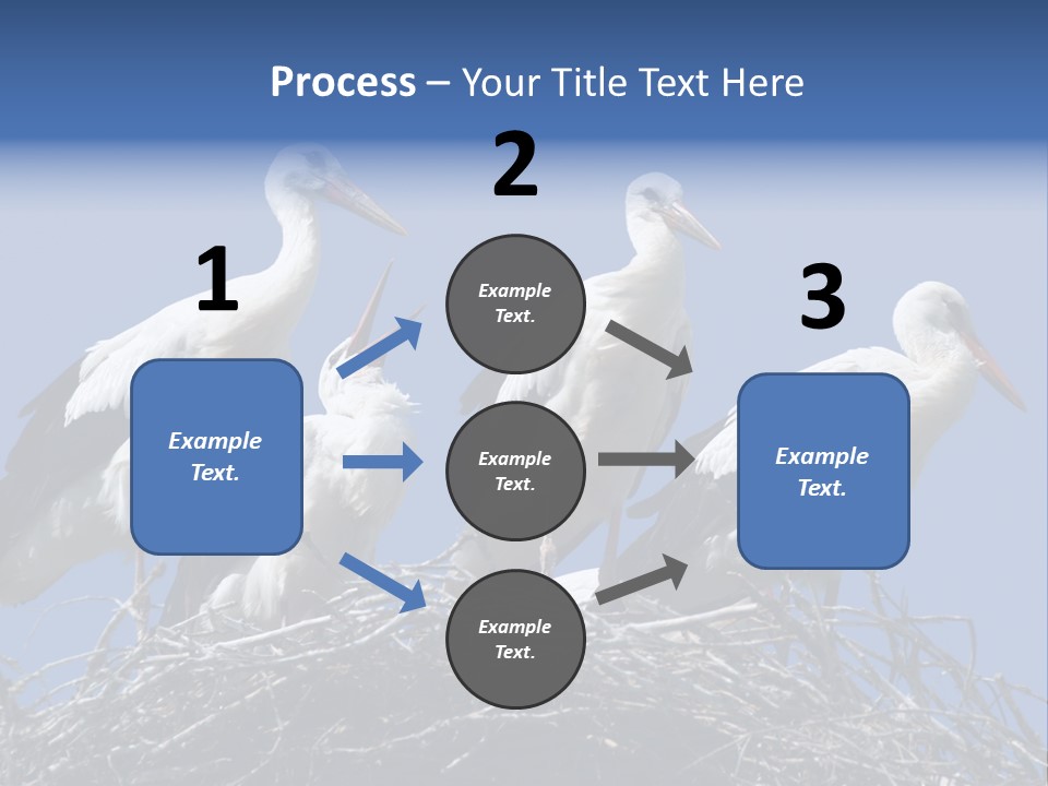 Migrate Pure Black PowerPoint Template