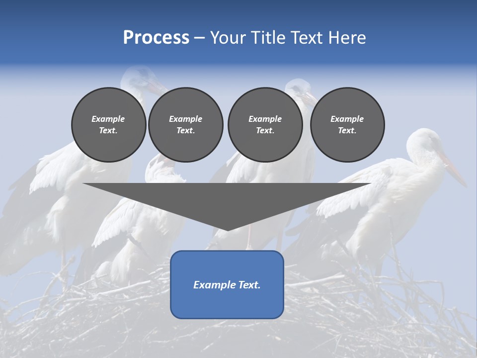 Migrate Pure Black PowerPoint Template