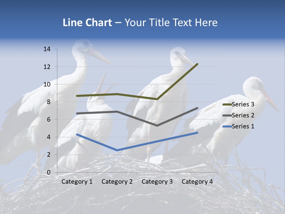 Migrate Pure Black PowerPoint Template