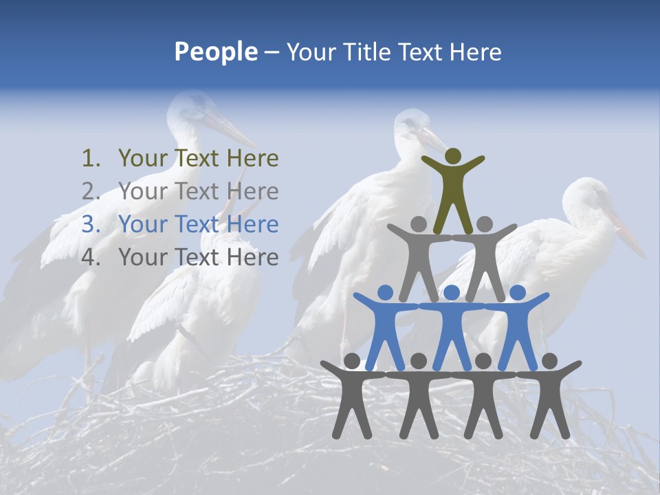 Migrate Pure Black PowerPoint Template