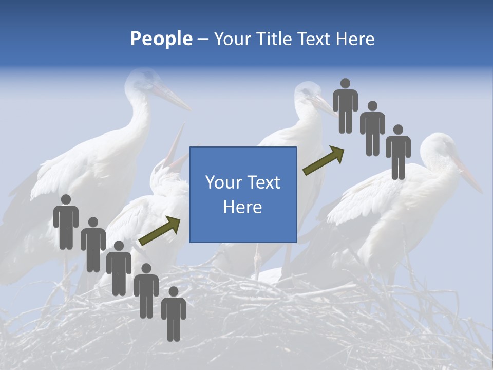 Migrate Pure Black PowerPoint Template