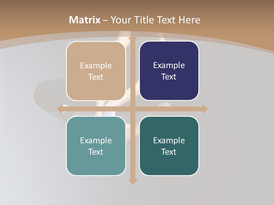 Difficult Female Fly PowerPoint Template