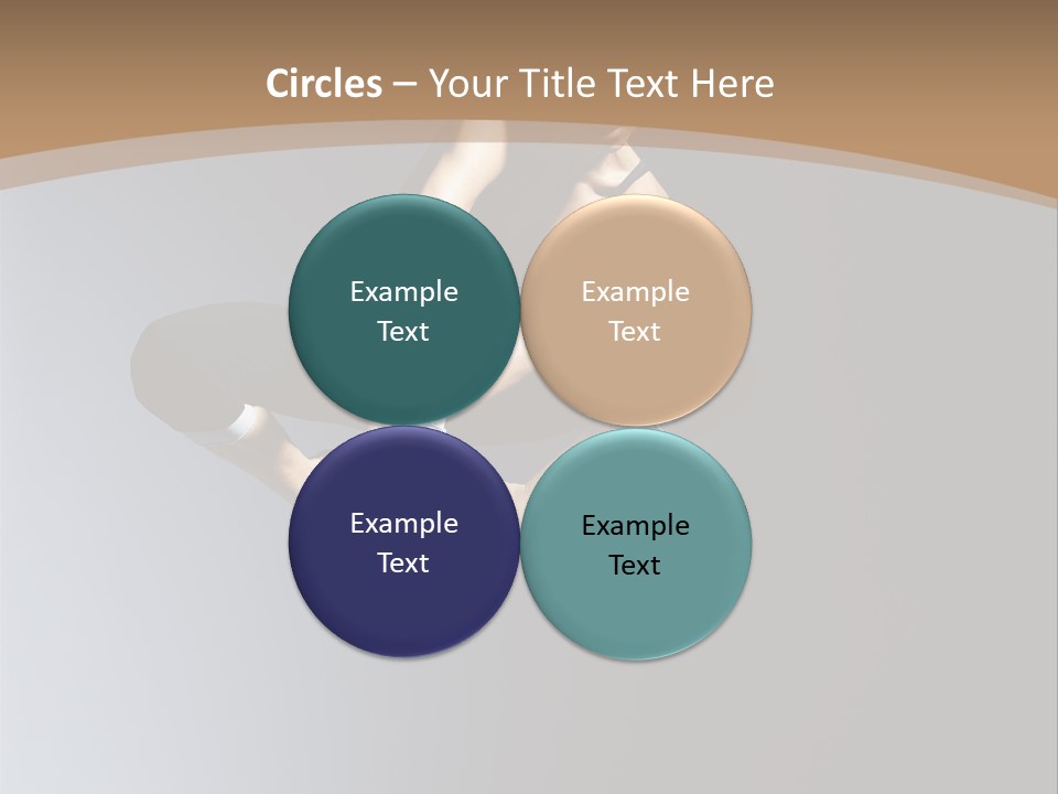 Difficult Female Fly PowerPoint Template