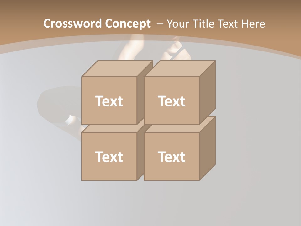Difficult Female Fly PowerPoint Template
