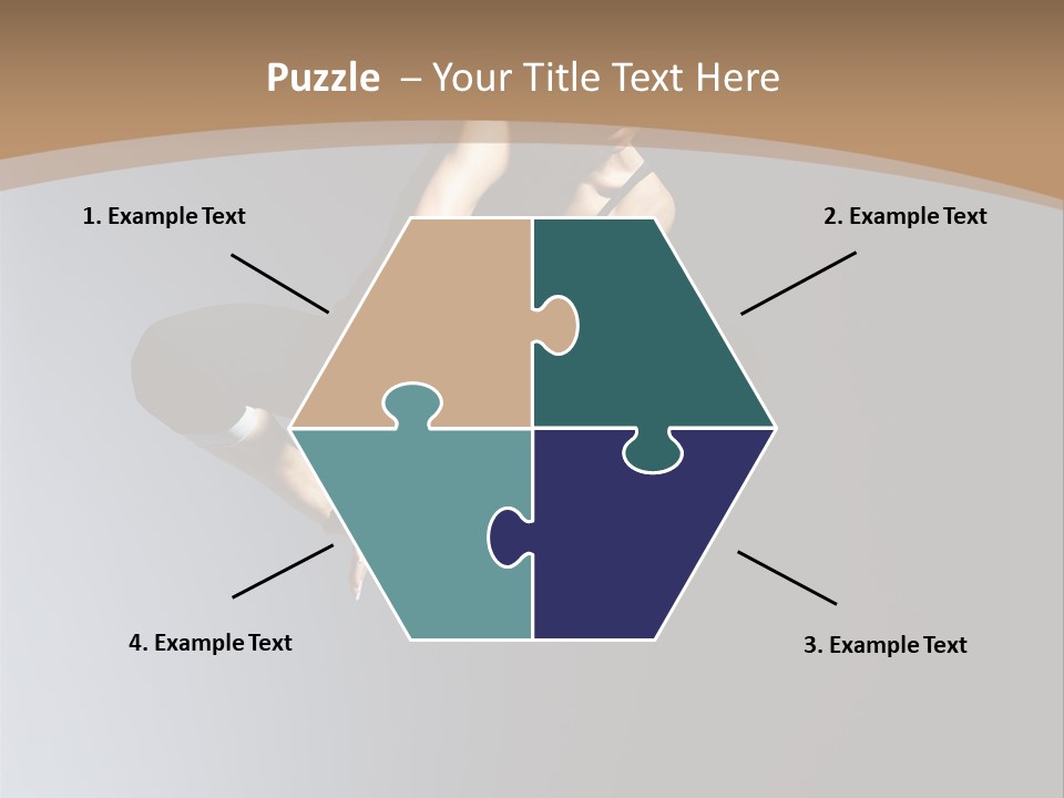 Difficult Female Fly PowerPoint Template
