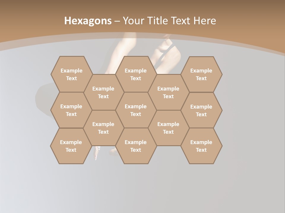 Difficult Female Fly PowerPoint Template