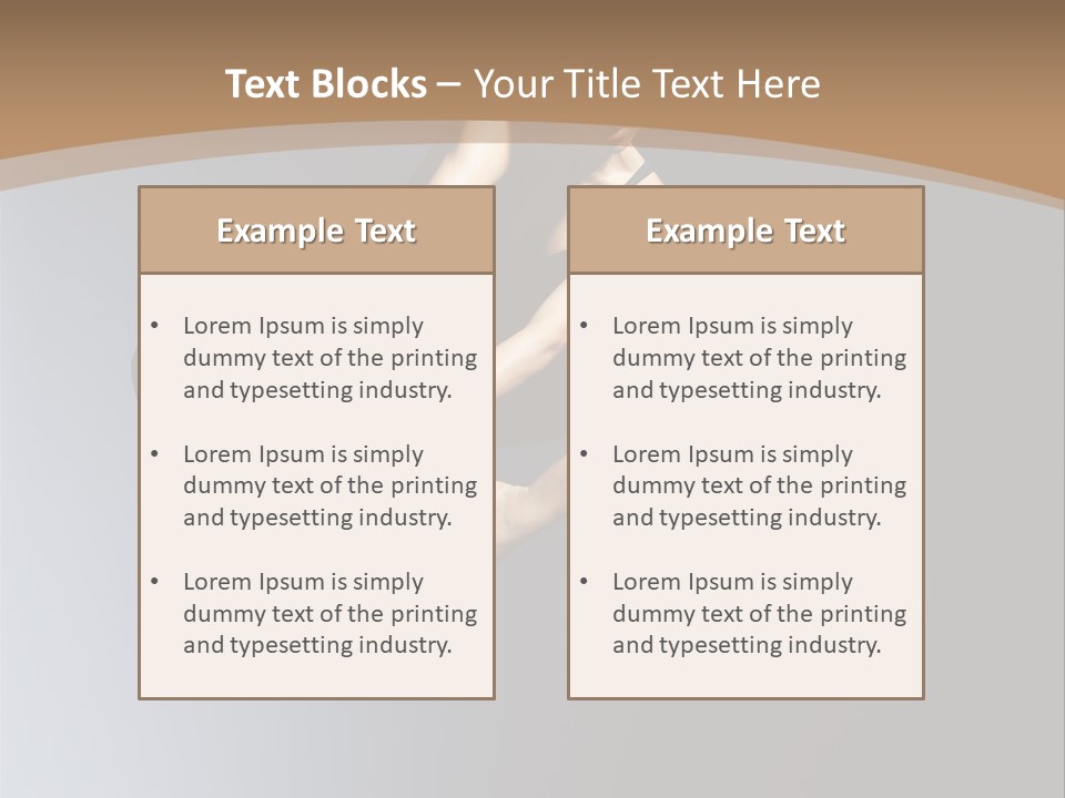 Difficult Female Fly PowerPoint Template