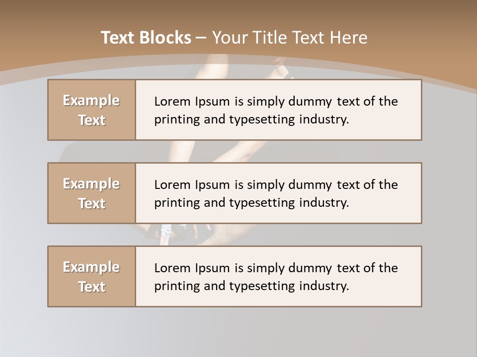 Difficult Female Fly PowerPoint Template