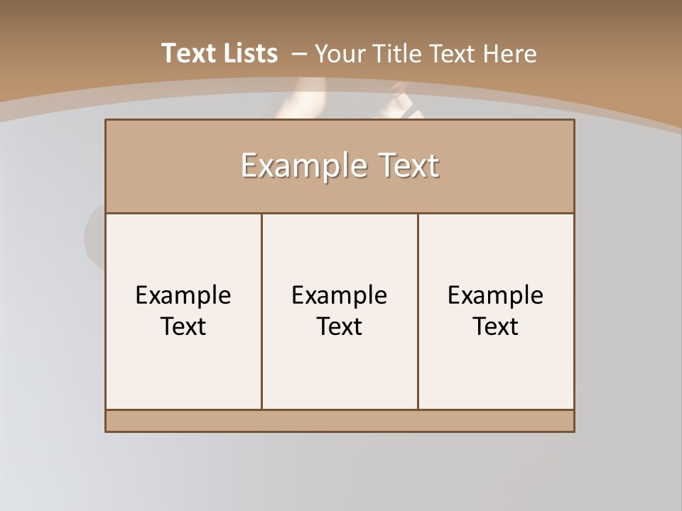 Difficult Female Fly PowerPoint Template