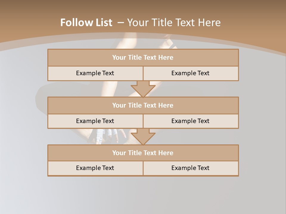Difficult Female Fly PowerPoint Template