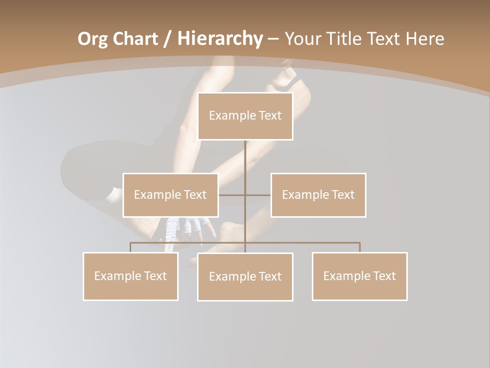 Difficult Female Fly PowerPoint Template
