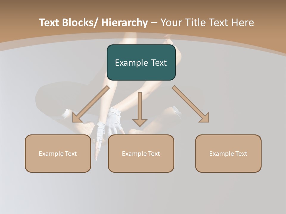 Difficult Female Fly PowerPoint Template