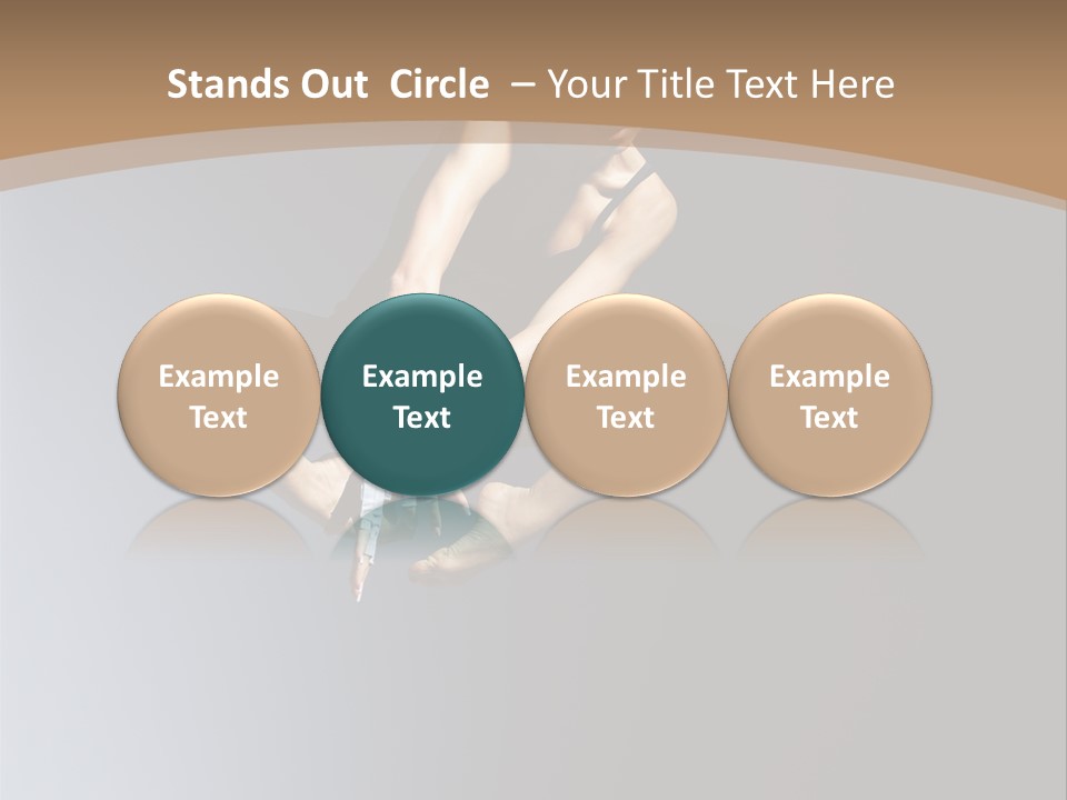 Difficult Female Fly PowerPoint Template