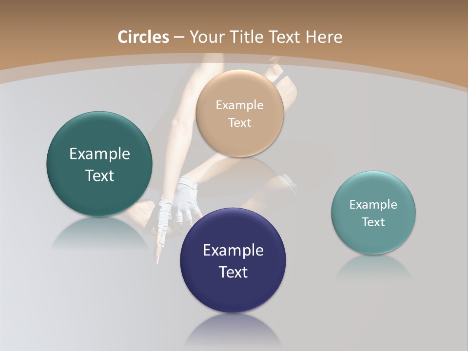 Difficult Female Fly PowerPoint Template