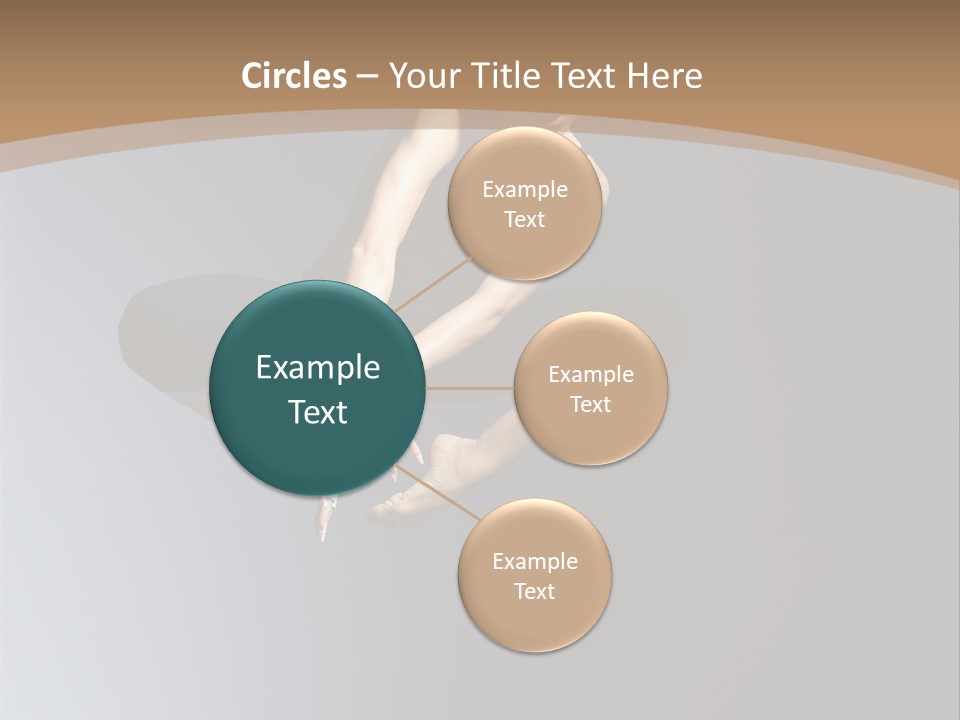 Difficult Female Fly PowerPoint Template