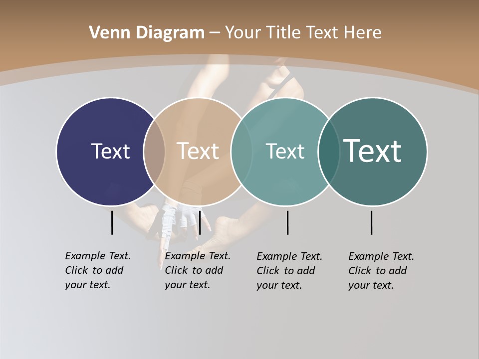 Difficult Female Fly PowerPoint Template