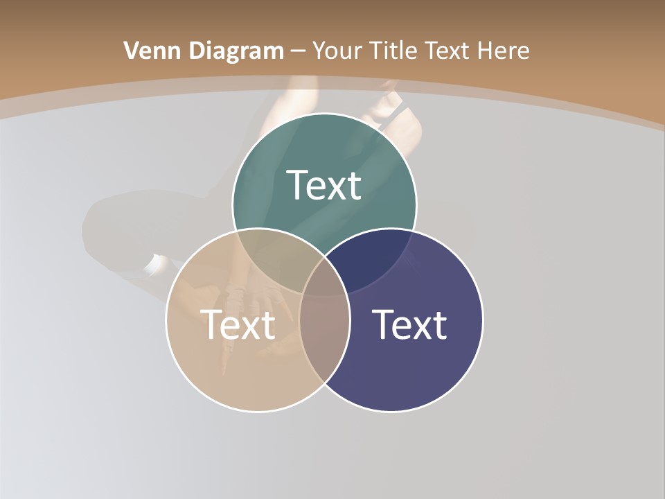 Difficult Female Fly PowerPoint Template