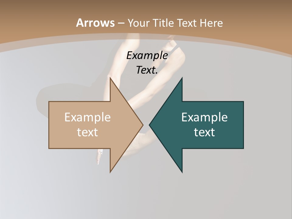 Difficult Female Fly PowerPoint Template