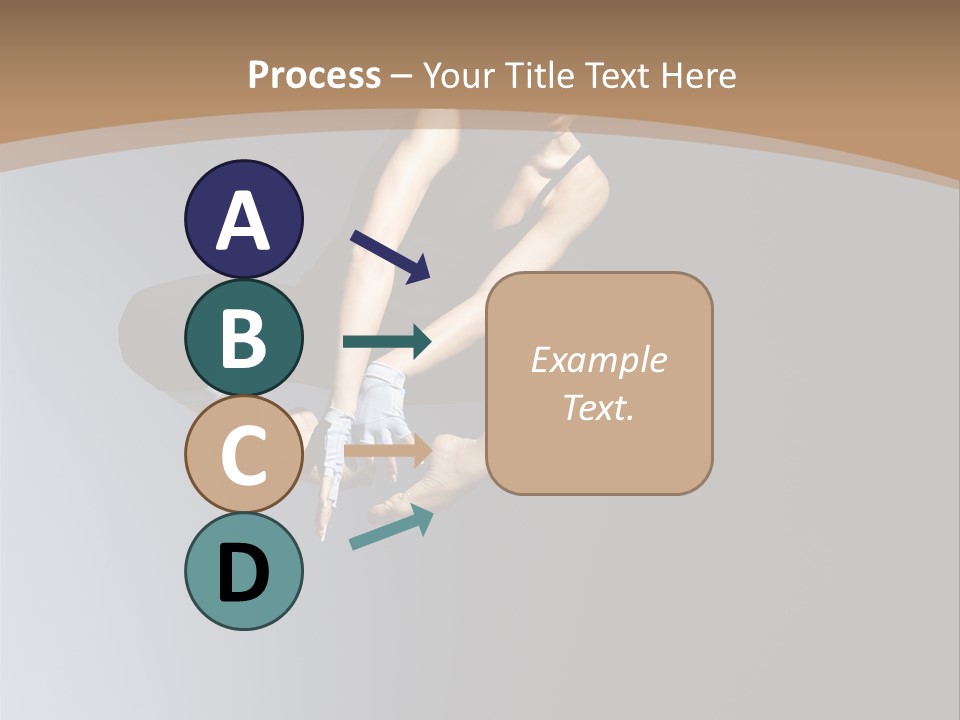 Difficult Female Fly PowerPoint Template