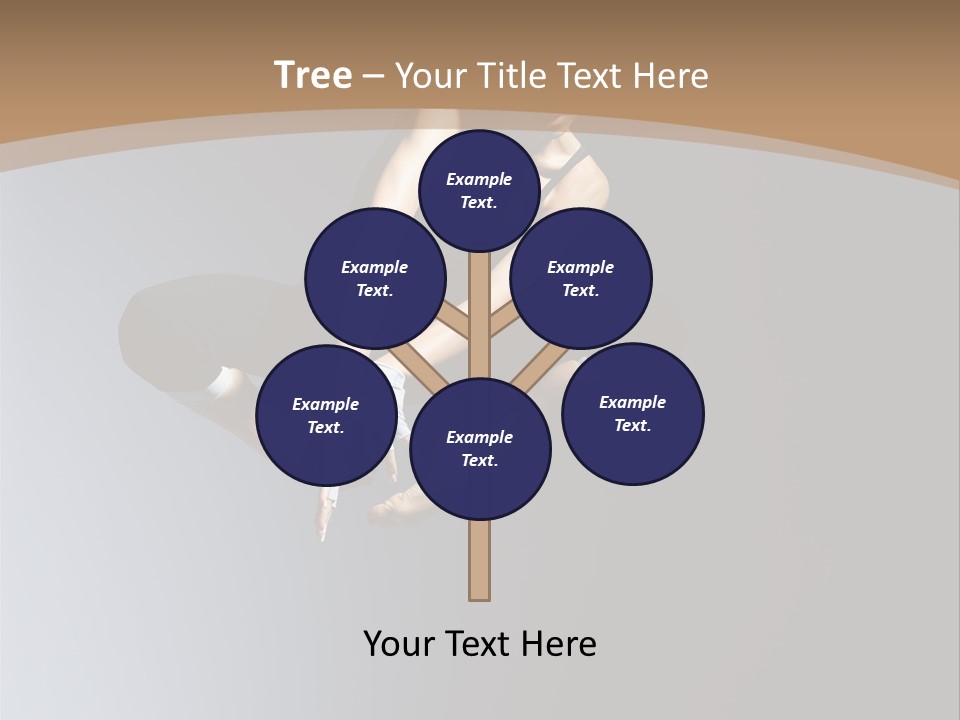 Difficult Female Fly PowerPoint Template
